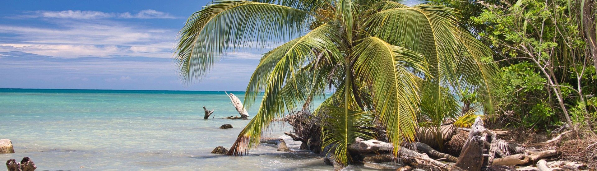 KBN Travel: Exceptional JOurneys, Personalised for You