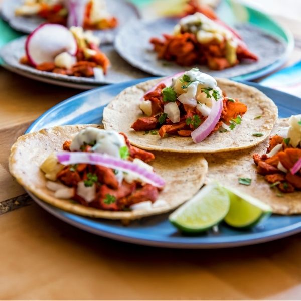 Holland America | KBN Travel