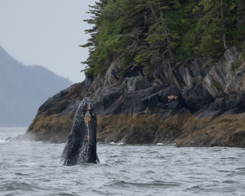 Expedition Cruises with KBN Travel