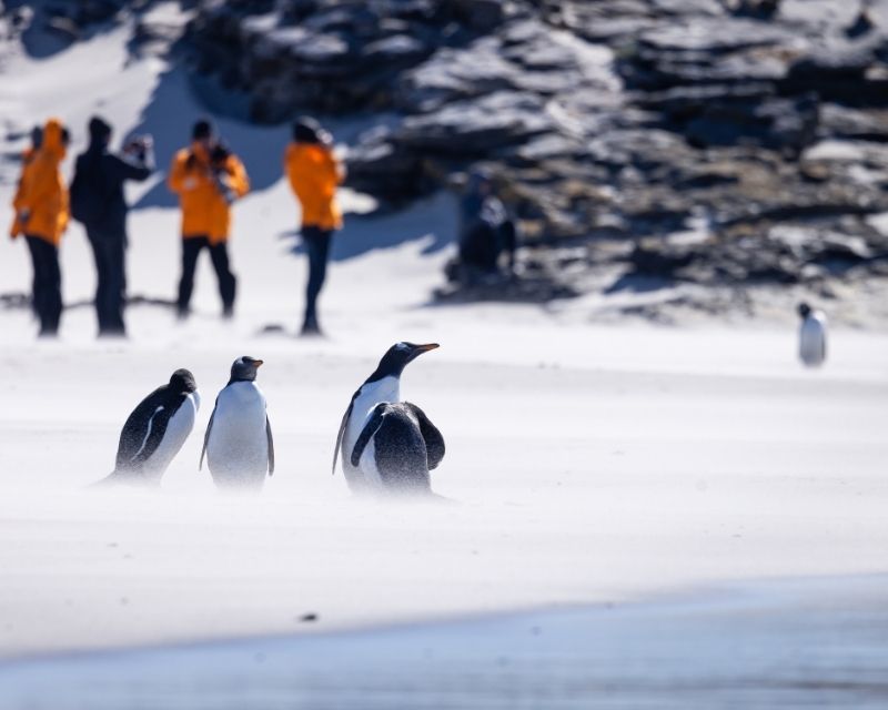 Expedition Cruises with KBN Travel