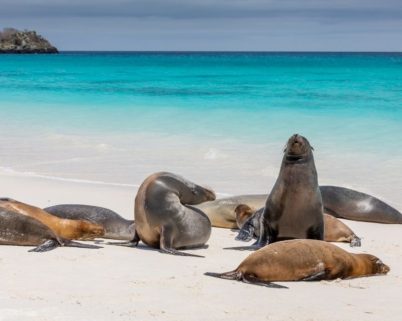 Expedition Cruises with KBN Travel
