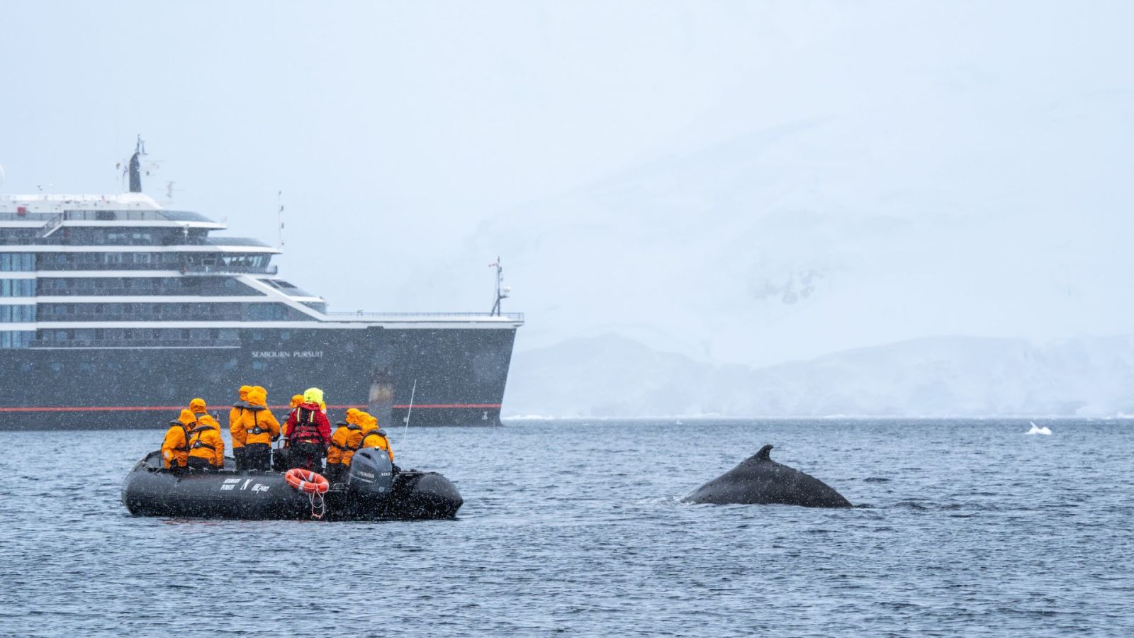 Expedition Cruises with KBN Travel