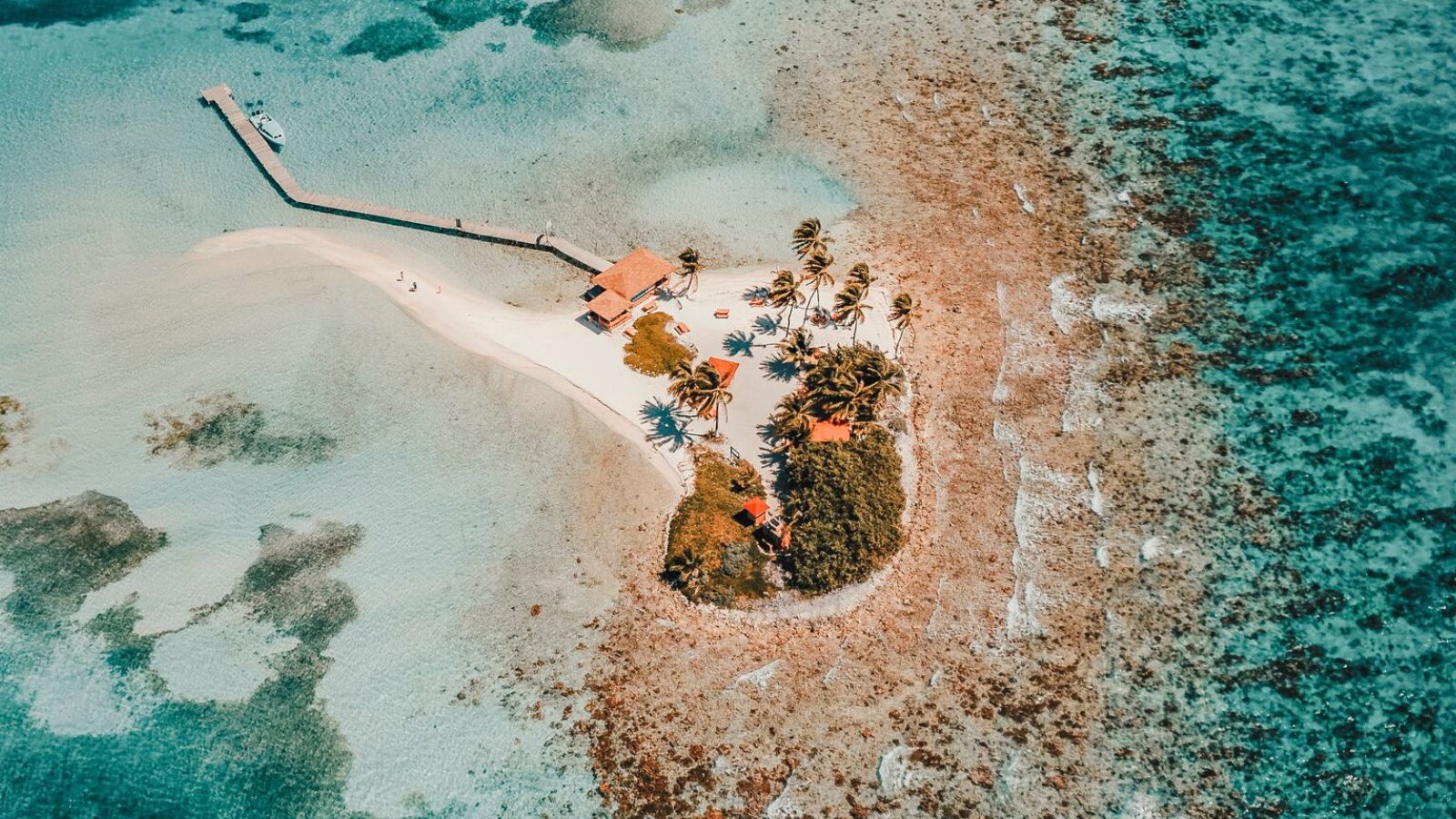 Book your dream cruise now | KBN travel