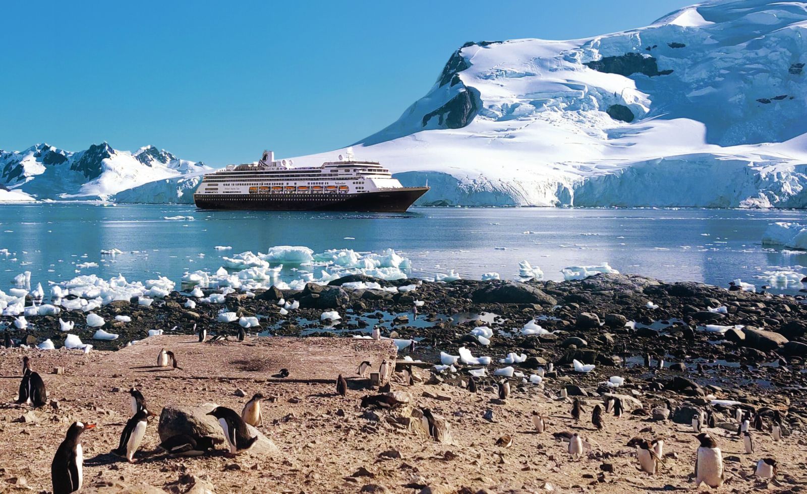 MS Volendam