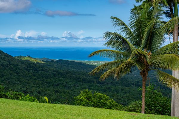 Book your dream Celebrity cruise | KBN Travel